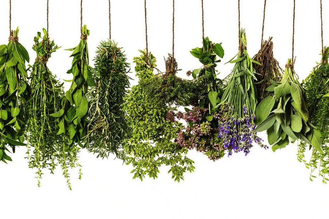 ekstrak herbal tropis dina eroboost