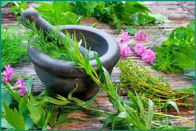 Jamu ubar pikeun mulangkeun potency lalaki